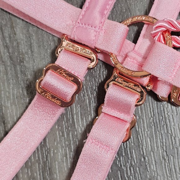 RARE ~ NWT Honey Birdette Shibari Pink Suspender Bondage Garter Belt Size S - Picture 3 of 4